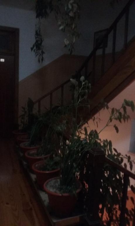 Pensao Avenida Ξενοδοχείο Penacova Εξωτερικό φωτογραφία