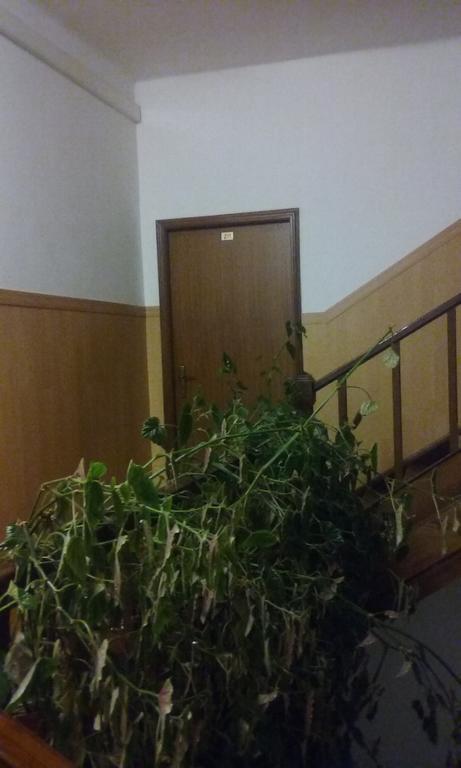 Pensao Avenida Ξενοδοχείο Penacova Εξωτερικό φωτογραφία